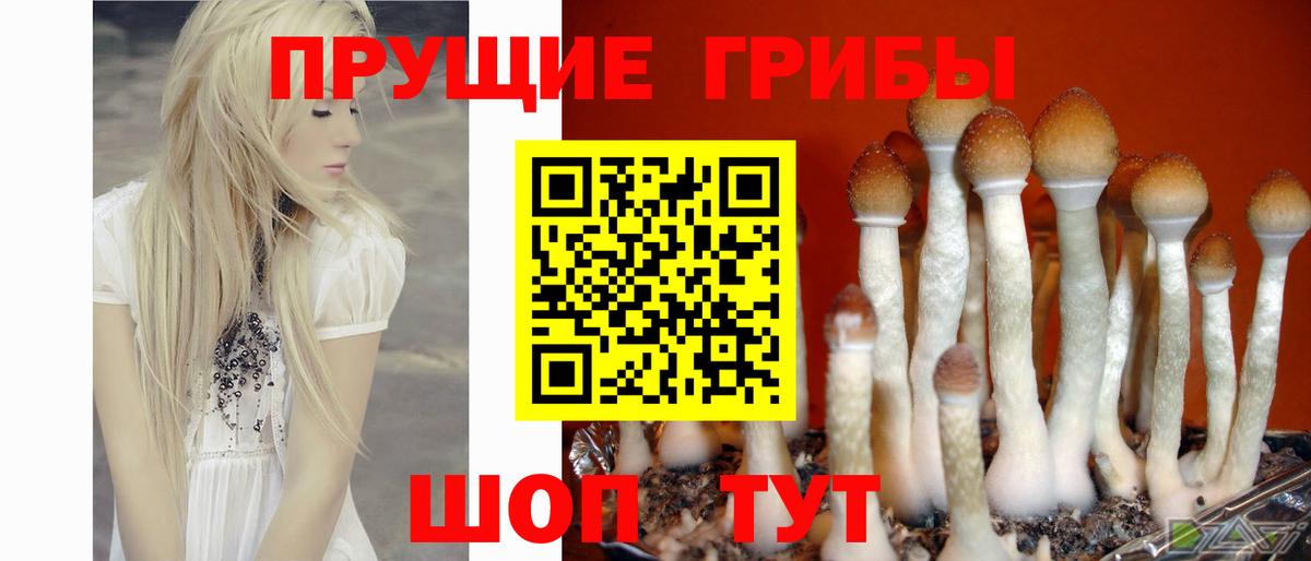 Псилоцибиновые грибы ЛСД  Псилоцибиновые грибы MAGIC MUSHROOMS  Шали  Вход с VPN 