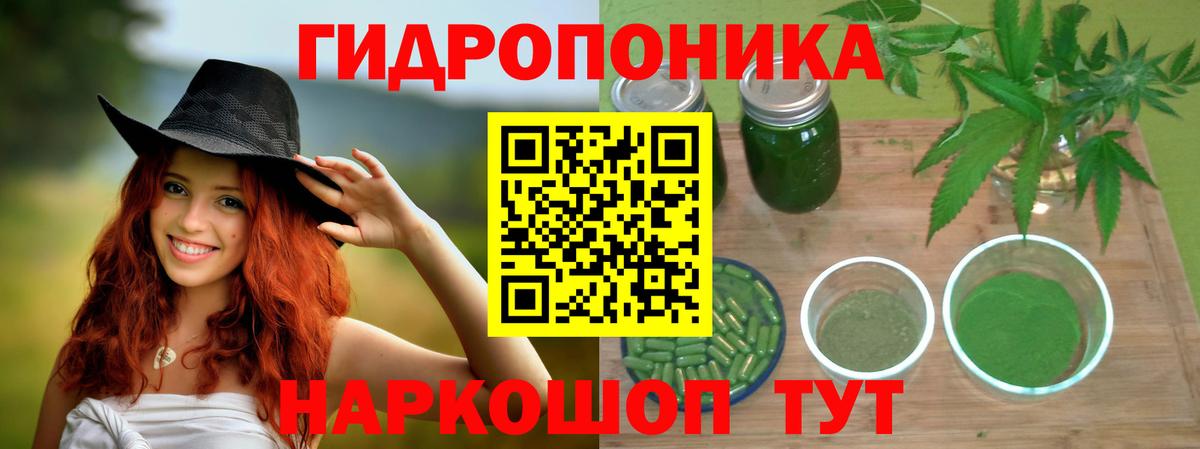 Шали  Каннабис ГИДРОПОН  Канабис сатива  МАРИХУАНА VHQ  Вход с VPN 